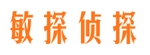 仪征市调查公司